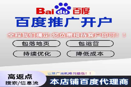 百度竞价投放技巧：行业领先企业的成功策略案例